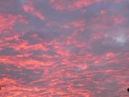 Anima gitana sotto un cielo di corallo