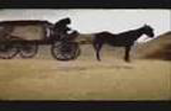 Il cocchiere della morte