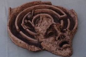 Falserighe prive di luce