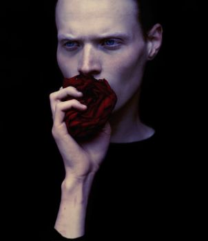 Forse ...una rosa rossa