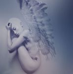 Contorsione d'un pensiero