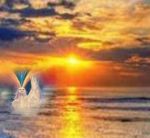 Venere emerge dalle acque