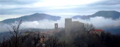 Nebbia