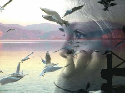 Il rumore del silenzio