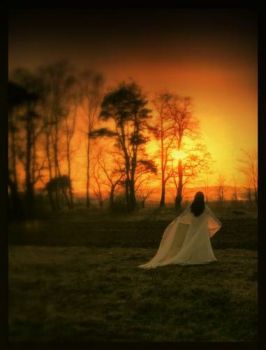 Continuerò a cercare