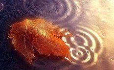 Sullo specchio di me