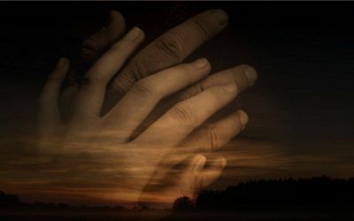 Nelle pieghe dei giorni