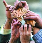 La carit� umiliata