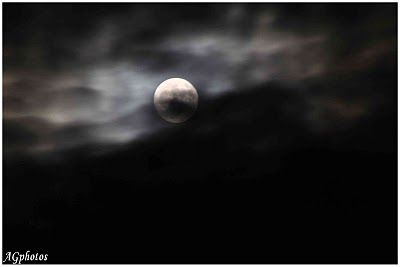 La vita non ti volle