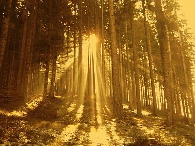 E' nel silenzio la pace