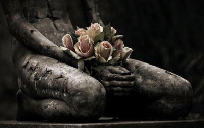 Il giardino delle rose