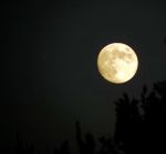 Notte di luna e d'amore