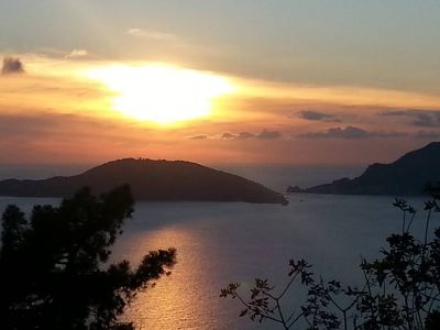 Bellezza priva di parole