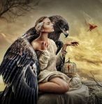 Come l'Aquila al ritorno