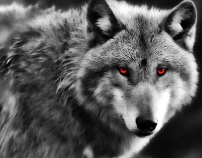 Ugualmente differente