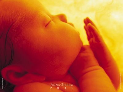 Sei alle porte della vita