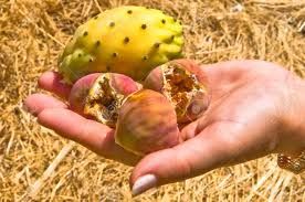 A Ficara mi canuscia