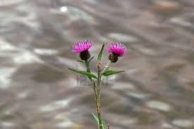 Lento scorre il fiume sulla pelle