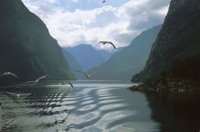 I fiordi scuri dell�amore