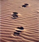 Niente da dimenticare