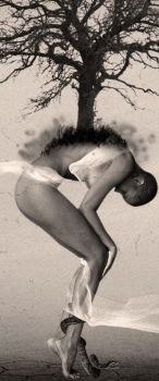 Come un albero i suoi rami