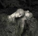 Prima che cali il silenzio