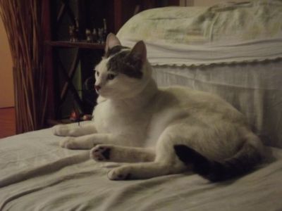 Nel buio della ragione