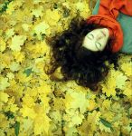 Le foglie addormentate