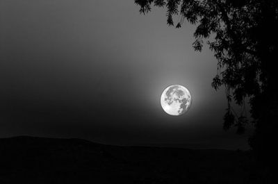 Siamo figli della luna astrale