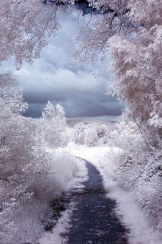 Solo un fragile sogno