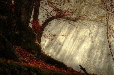 In pegno di un respiro