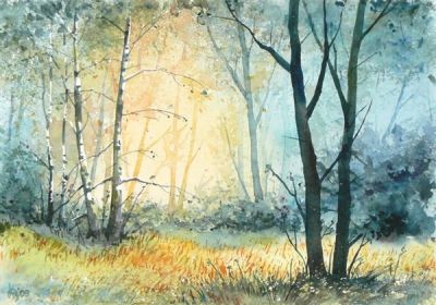 A tracciare l'estate