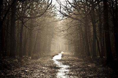 Fra gli angoli arresi