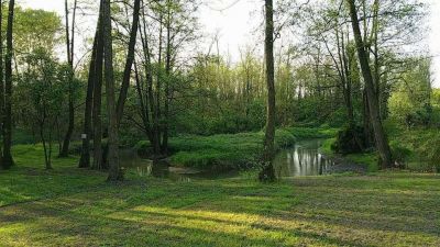 In promessa di stagione