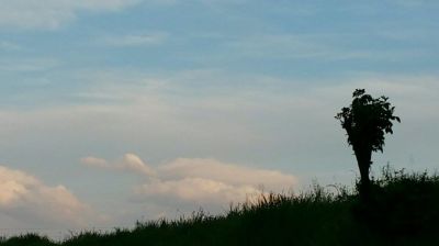 Note di una nuova stagione  