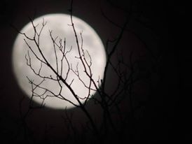 "Le domande di domani"