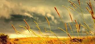 Sui confini del mondo