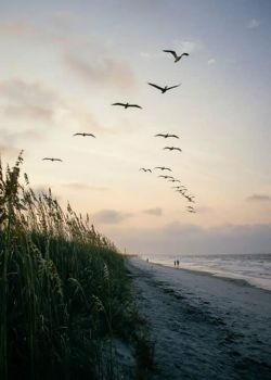 Sul sentiero dei baci