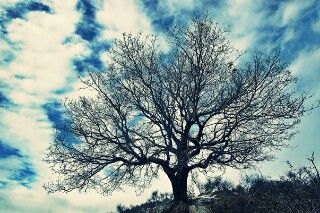 Nell'attesa dell'inverno