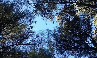 La sequenza delle ombre