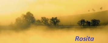 Riflessi di un giorno