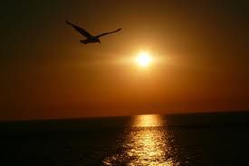 Le ali della libertà