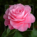 L'abbraccio pi� bello