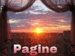 Pagine