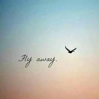 L'abbraccio degli anni