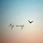 L'abbraccio degli anni