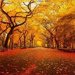 L'estate di San Martino