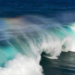 Il canto della pioggia