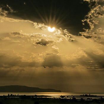 Ne' pensieri lasci i versi