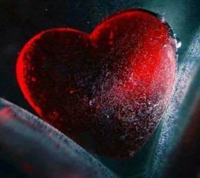 Del viso la dolcezza